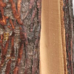 Buy 🎉 Brushy Mountain Enterprises Pier 1 Amish Handmade Hickory 🧥 Coat Rack ⭐ -Cheap Living Room Store bcomlwscekkfmdkeuuxl 1ecd7341 a5ea 499f a8b7 0eef489f41c5 scaled