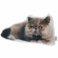 Best Sale 🎉 HomeRoots Exotic Cat Shape Decorative Throw Pillow 👏